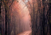 托蒂：我不配与马拉多纳相提并论 国米将意甲夺冠 最佳队友卡萨诺.