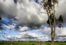 Betway必威体育：中国乒协发布文明观赛倡议：不得侮辱、嘲讽、诋毁、谩骂、贬低运动员、教练员、裁判员等中国乒乓球协会官方网站.