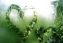 体操世界杯：张可欣头名晋级高低杠决赛 “丘妈”晋级跳马决赛2025-02-22.